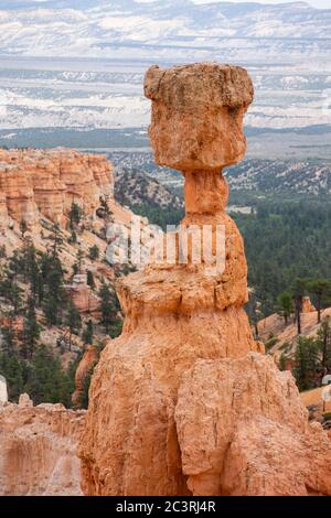 Blick auf Thor's Hammer Hoodoo Formation im Bryce Canyon National Park Stockfoto