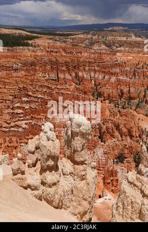 Vertikale Ansichten der rosafarbenen eroded Hoodoo Felsformationen am Bryce Canyon Utah Stockfoto