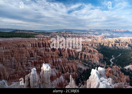 Blick auf das Amphitheater bei sanftem Licht im Bryce Canyon National Park Stockfoto