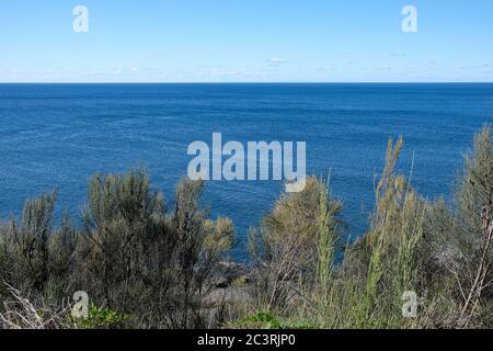 Blick auf das Meer oder den Ozean, von einer hohen Landzunge und über Sträucher und Bäume, zum Horizont hin. Stockfoto