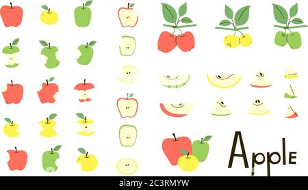 Apfel ganz, geschnitten, gebissen, Apfelkern. Apfelhälfte und Scheiben. Apfelbaum Äste mit Blättern. Satz von Vektorobjekten in roten, gelben und grünen Farben Stock Vektor