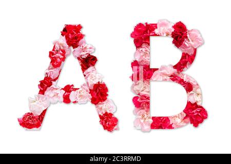 Blumenschrift Alphabet A B Set (Kollektion A-Z), aus echten Nelkenblumen rosa, rote Farbe mit Papier geschnitten Form von Großbuchstaben. Flora Schrift Stockfoto