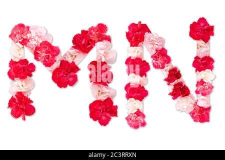 Blumenschrift Alphabet M N Set (Kollektion A-Z), aus echten Nelkenblumen rosa, rote Farbe mit Papier geschnitten Form von Großbuchstaben. Flora Schrift Stockfoto