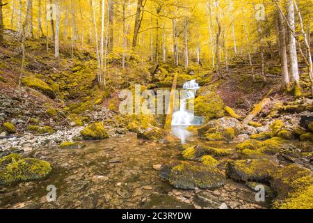Herbstlicher Wald, mit Moos bewachsene Felsen, abgefallene Blätter. Bergfluss mit Wasserfällen im Herbst. Herbstfarben, ruhige Naturlandschaft Stockfoto
