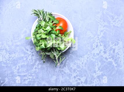 Verschiedene Kräuter oder Gewürze: Rosmarin, Thymian und Oregano mit roter Tomate auf dem Teller. Aromatisches Gras- und Gartenkonzept. Schale von grünen Gewürzpflanzen auf grauem Textur Hintergrund. Stockfoto