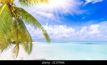 Palmen und tropischer Strand. Tropisches Urlaubsparadies mit weißen Sandstränden, die Palmen und Sonnenstrahlen wiegen. Ruhige Strandlandschaft, Sommerstimmung Stockfoto