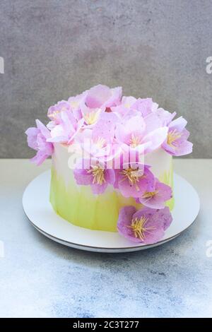 Zarte grüne Geburtstagstorte mit lila Papierblumen auf grauem Hintergrund. Stockfoto