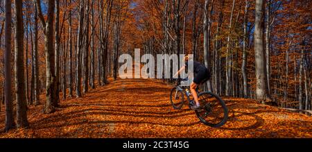 Breite Panoramallee mit bunten Herbstbuchen in den Beskiden in Polen. Stockfoto