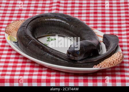 Meeresfrüchte Hintergrund. Nahaufnahme eines frisch gereinigten rohen europäischen Aalfisches auf einem Porzellanteller auf einer rot karierten Tischdecke. Gesunde Ernährung. Makro. Stockfoto