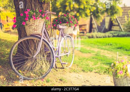 Schönes Fahrrad mit Blumen in einem Korb steht auf einer Allee in einem Park bei Sonnenuntergang. Gartendekoration im Vintage-Stil Stockfoto