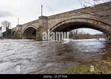 Die historische Steinbrücke über den Fluss Swale bei Catterick Bridge in North Yorkshire Stockfoto