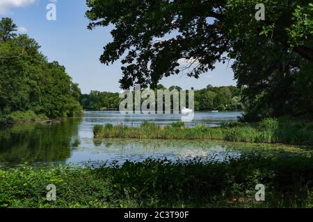 Berlin, Deutschland. Juni 2020. Blick auf den Moorlake auf der Havel. Quelle: Jens Kalaene/dpa-Zentralbild/ZB/dpa/Alamy Live News Stockfoto