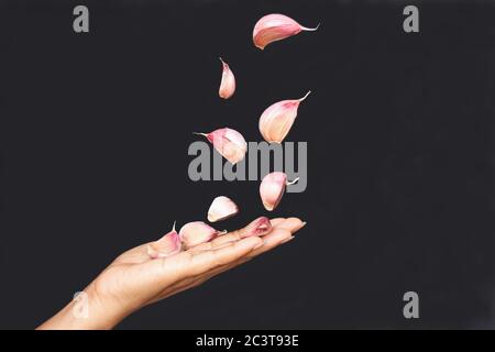Kochkonzept, fliegenden Knoblauch auf Frau Palme. Foto isolieren auf schwarzer Seite Ansicht kopieren Raum Stockfoto