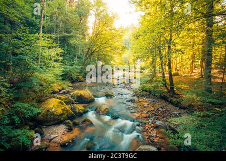 Erstaunliche Waldnatur, Fluss mit Felsen in wunderbaren Frühling Sommer Sonnenlicht. Natur Wunderland kleiner Wasserfall in grünen Wald üppige Landschaft Stockfoto