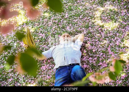 Angenehmer Frühlingstag. Mann unter Kirsche blühenden Baum. Alter Mann genießen Frühling Natur. Älterer Mann mit grauem Bart in Strohhut. Glücklicher Ruhestand. Großvater lächelt, während rosa Sakura Blüte beobachten. Stockfoto
