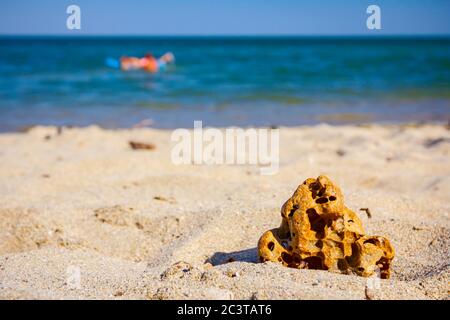 Hohle Felsen ist auf dem Sandstrand mit Meer in der Ferne platziert. Stockfoto