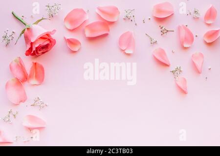 Rahmen aus Rosen auf rosa Hintergrund. Flach liegend. Stockfoto