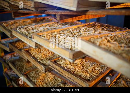 Rohe Pasta, Spaghetti und Nudeln liegen in einer Holzkiste in der Fabrik auf einem Regal. Pasta machen. Nahaufnahme, horizontal Stockfoto