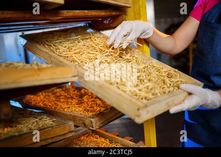 Das Mädchen arbeitet an der Herstellung von Spaghetti. Nudeln machen. Pasta-Fabrik. Bühnenproduktion von Pasta. Rohe Nudeln. Arbeiter mit einer Schachtel Nudeln. Stockfoto