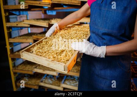 Das Mädchen arbeitet an der Herstellung von Spaghetti. Nudeln machen. Pasta-Fabrik. Bühnenproduktion von Pasta. Rohe Nudeln. Arbeiter mit einer Schachtel Nudeln. Stockfoto