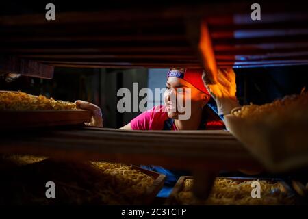 Das Mädchen arbeitet an der Herstellung von Spaghetti. Nudeln machen. Pasta-Fabrik. Stockfoto