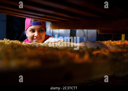 Das Mädchen arbeitet an der Herstellung von Spaghetti. Nudeln machen. Pasta-Fabrik. Stockfoto