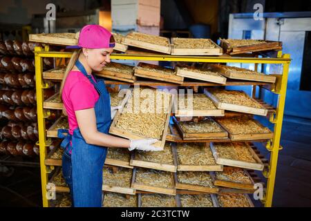 Arbeiter mit einer Schachtel Nudeln. Das Mädchen arbeitet an der Herstellung von Spaghetti. Nudeln machen. Pasta-Fabrik. Stockfoto