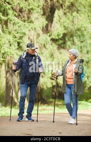 Ganzkörperportrait eines aktiven Seniorenpaares, das Nordic Walking mit Stöcken während der Wanderung im Wald genießt Stockfoto