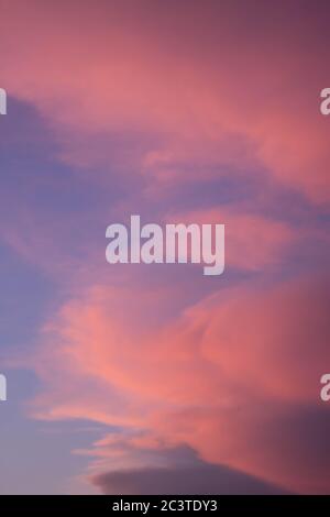 puesta de sol con coloridas nubes rosa claro con cielo azul en el fondo Stockfoto