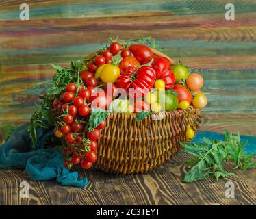 Frische rote Tomaten im Korb in der Küche. Tomaten in Korbkorb in der Küche Stockfoto