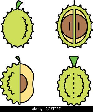 Durian Symbole setzen Vektor flach Stock Vektor