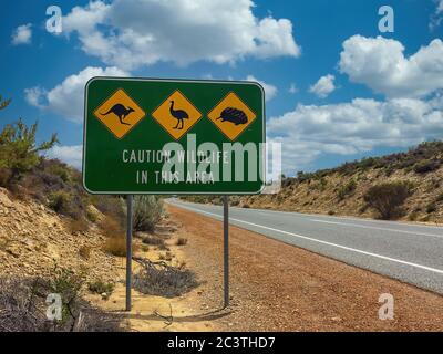 Warnschild für Tiere in Australien unterwegs Stockfoto