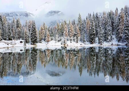 Bergsee an der Tre Cime di Lavaredo im Winter, Italien, Südtirol, Dolomiten, Trient Stockfoto