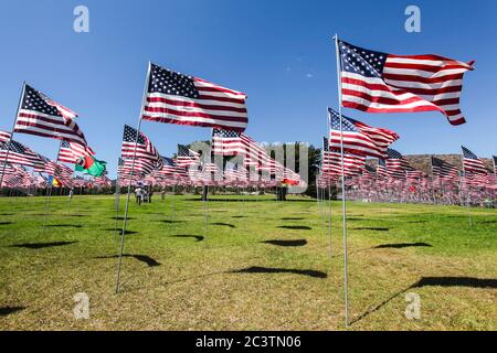 Amerikanische Flaggen fliegen auf dem Campus-Gelände, um den unschuldigen Opfern des Angriffs auf das World Trade Center, das Pentagon und Flug 93 von 9/11 zu gedenken. Stockfoto