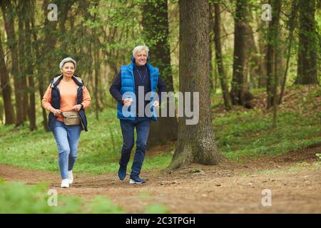 In voller Länge Porträt von aktiven Senioren Paar genießen Morgen laufen in schönen grünen Wald, kopieren Raum Stockfoto