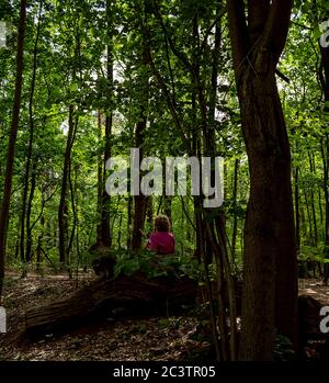 Ältere Frau, die nach dem nordic Walking im Wald sitzt und sich ausruhte. Stockfoto
