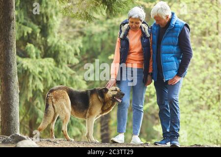 Ganzkörperportrait des aktiven älteren Paares Streicheln großen Schäferhund während der Wanderung in sonnenbeschienenen Wald Stockfoto