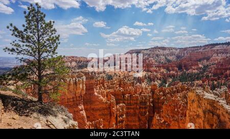 Die wunderschönen Klippen des atemberaubenden Bryce Canyon National Park, Utah. Stockfoto