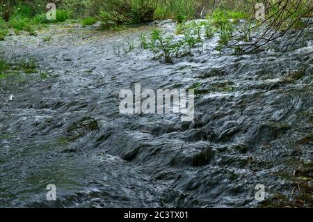 Fonte da Benemola Flusslandschaft in Querenca. Loule, Algarve, Portugal Stockfoto