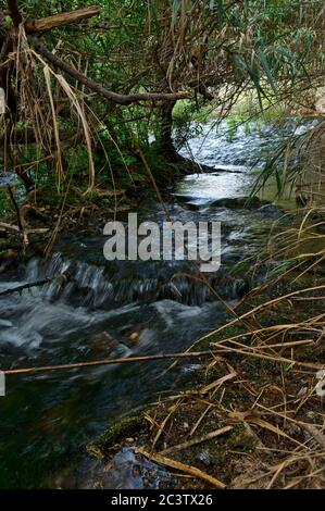 Fonte da Benemola Flusslandschaft in Querenca. Loule, Algarve, Portugal Stockfoto