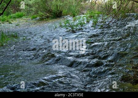 Fonte da Benemola Flusslandschaft in Querenca. Loule, Algarve, Portugal Stockfoto