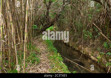 Fonte da Benemola Flusslandschaft in Querenca. Loule, Algarve, Portugal Stockfoto