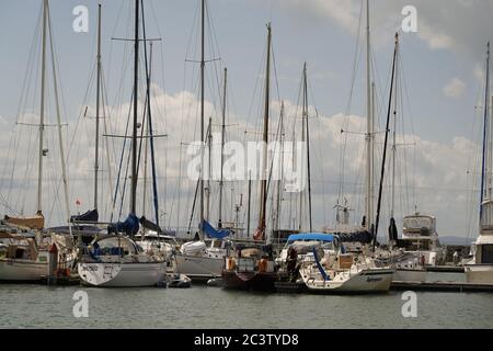 Boot und Vogelwelt in Marina, Hervey Bay, Queensland, Australien Stockfoto