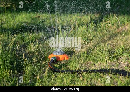 Gartenbewässerung von Frühlingsgrün Rasen. Modernes Gartenbewässerungssystem Stockfoto