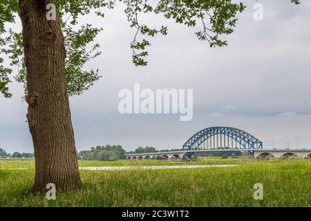 Große blaue IJssel Brücke über den Fluss IJssel in Zwolle, Overijssel in den Niederlanden. Blick vom Park Englische Arbeit in Zwolle Stockfoto