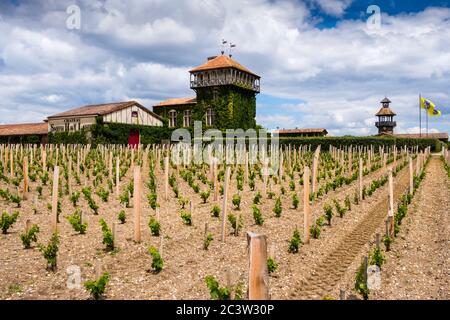 Martillac (Südwestfrankreich): Das Chateau Smith Haut Lafitte, Weinbaugebiet in Pessac-Leognan Stockfoto