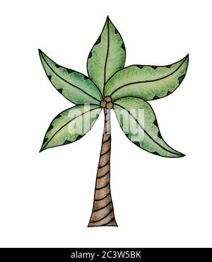 Handgezeichnete Cartoon-Palme isoliert auf weißen, tropischen Doodle Illustration mit farbigen Palme Silhouette Stockfoto