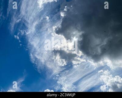 Blick in den tiefblauen Himmel mit Stratocumulus und Zirruswolken an windigen Tagen, die gelegentliche Sommer-Regenschauer ankündigen Stockfoto