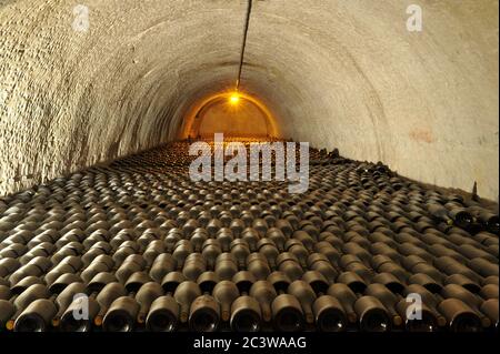 Keller der Taittinger Champagner Haus in Reims (Frankreich) Stockfoto