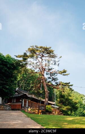 Ganghwa-gun, Incheon, Korea - 7. Juni 2020 : Gyodong Insel Hwagaesa Tempel Stockfoto